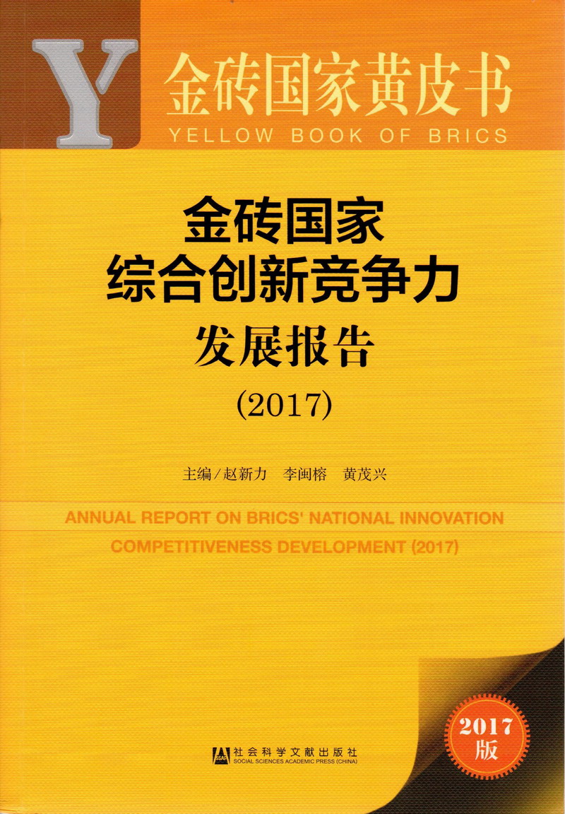 啊啊啊哦哦受不了啪啪免费播放金砖国家综合创新竞争力发展报告（2017）